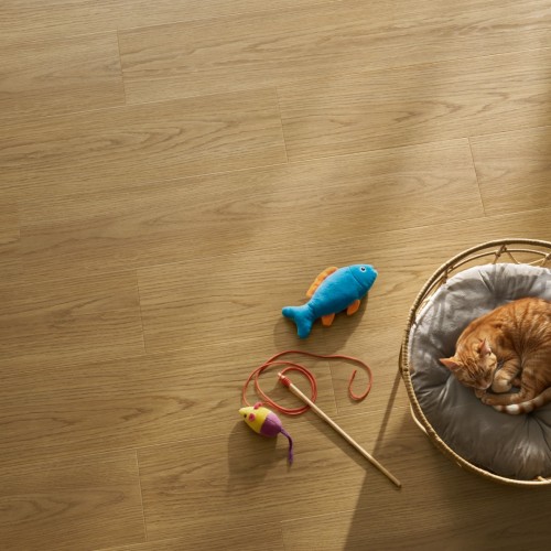 Afirmax Legnar Acoustic Wood CLEA 43042 Sora Oak klikkes SPC padló integrált alátéttel