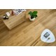 Arbiton Amaron Wood Acoustic CAA 154 SIERRA OAK klikkes SPC padló int. alátéttel