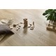 Arbiton Woodric Acoustic EIR CWSA 209 SALERNO OAK klikkes SPC padló int. alátéttel