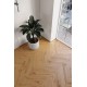 Barlinek Herringbone Ginger Oak halszálka SPC padló integrált alátéttel