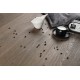 Barlinek NextStep Balsamico Oak, klikkes SPC padló. DP5000001