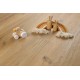 Barlinek NextStep Sand Oak, klikkes SPC padló integrált alátéttel. DP5000018
