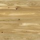 Barlinek Conchi Piccolo, selyemfényű-lakkozott szalagparketta. 1WG000609