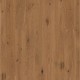 Boen 138mm plank, Tölgy Vivo Honey, strukt., 2 old.fóz., olajozott, klikkes szalagparkatta