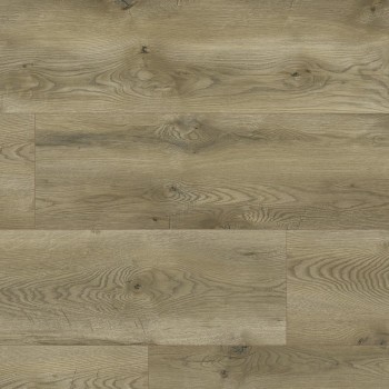 Classen 63127 (J) Evolution Albiano Oak vízálló laminált padló