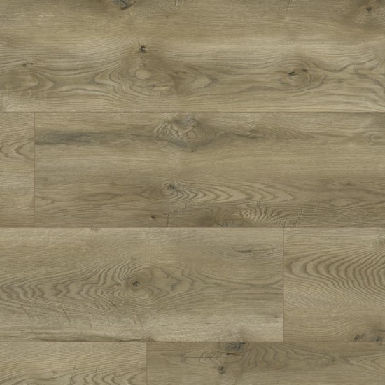 Classen 63127 (J) Evolution Albiano Oak vízálló laminált padló