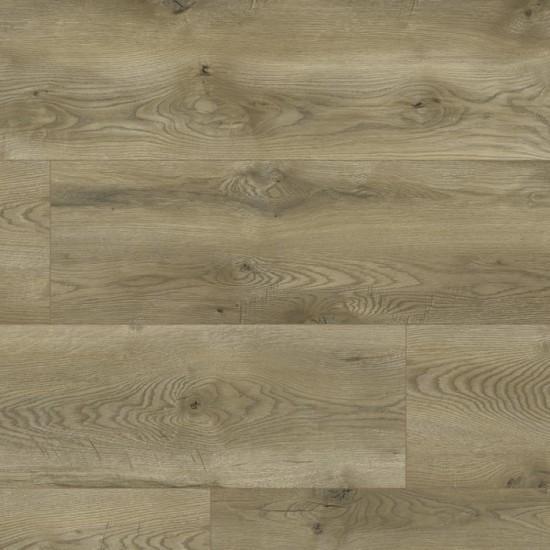Classen 63127 (J) Evolution Albiano Oak vízálló laminált padló