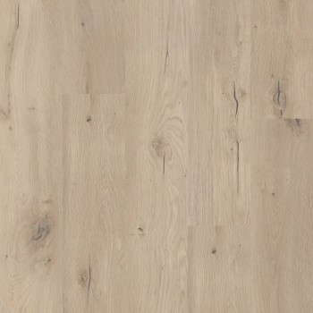 COREtec Flexile 50 FLX 806 Forest ragasztós vinyl padló