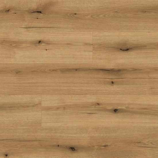 Kaindl Natural Touch 8.0 SP K5573 EVOKE COAST OAK RI laminált padló