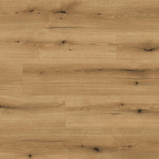 Kaindl Natural Touch 8.0 SP K5573 EVOKE COAST OAK RI laminált padló