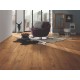Krono Original MO.RE! ATLANTIC 10 5537, Tawny Chestnut vízálló laminált padló
